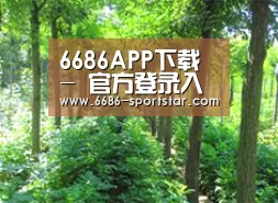 种植基地九