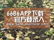 种植基地七