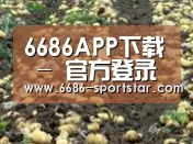 种植基地八(图1)